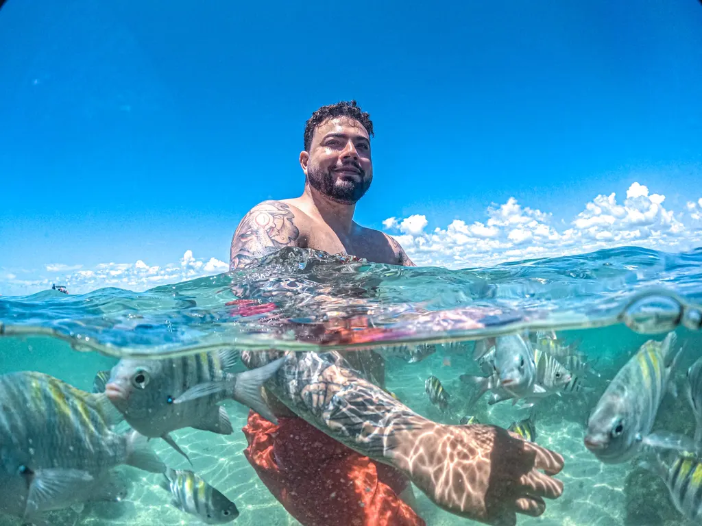 Snorkel entre peixes na água transparente de Maragogi