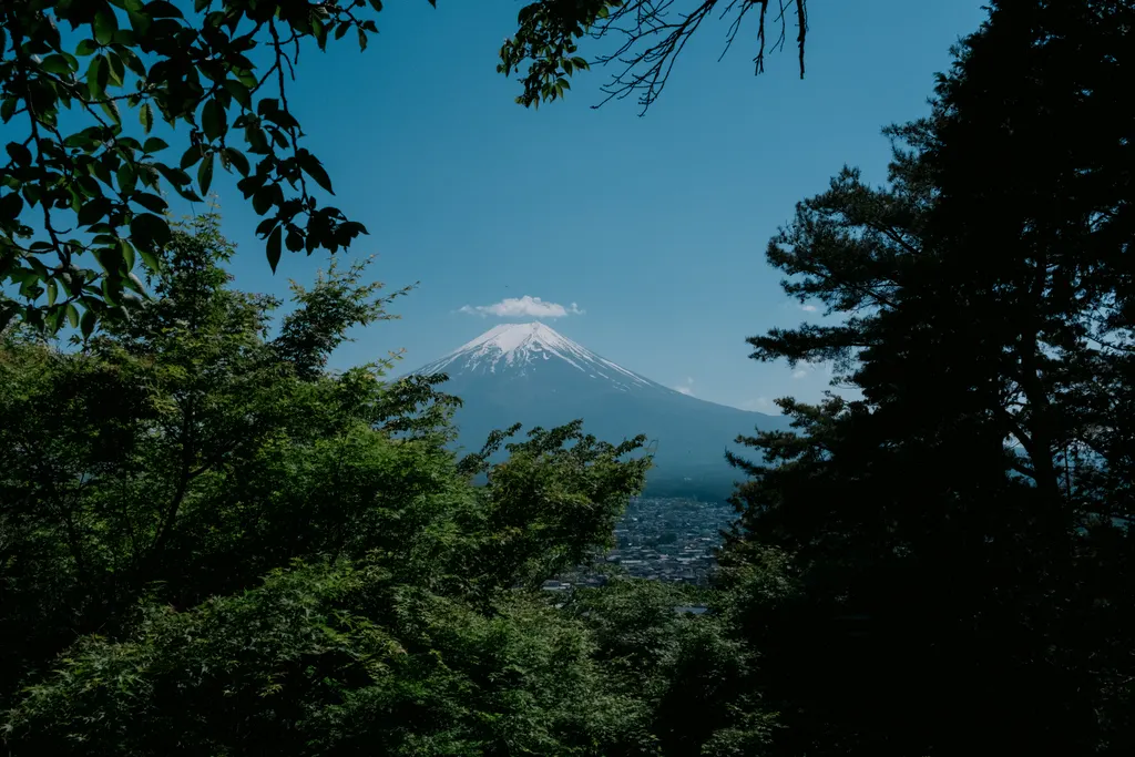 O monte Fuji emoldurado pelas árvores, num dia limpo