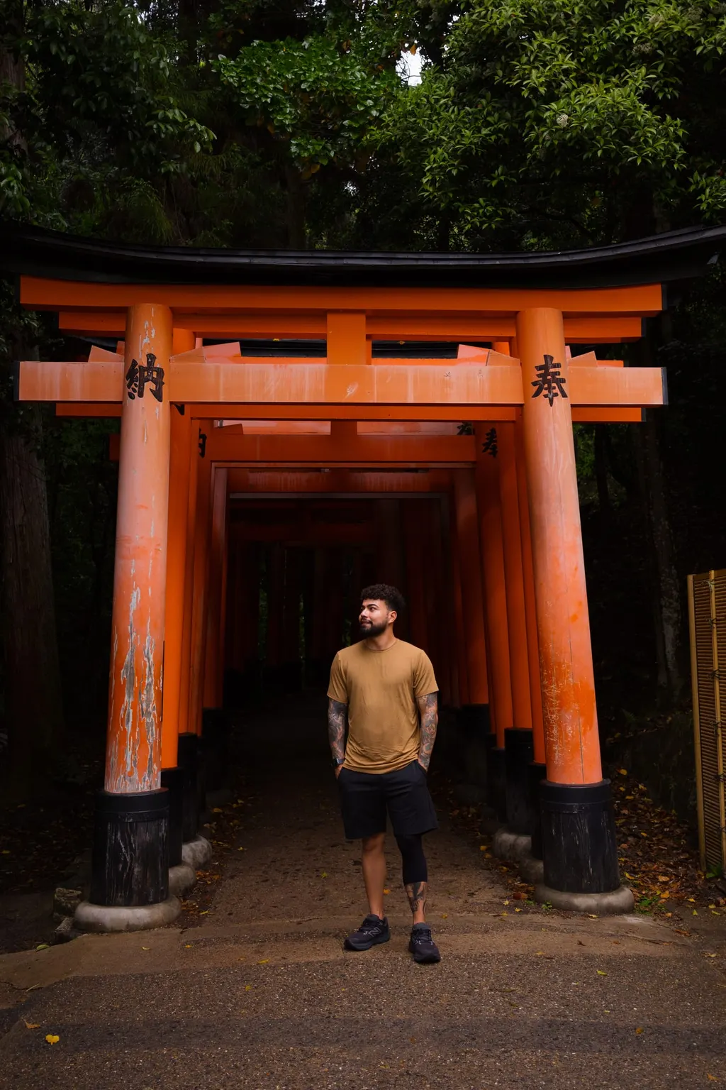 Sob os torii vermelhos do Fushimi Inari